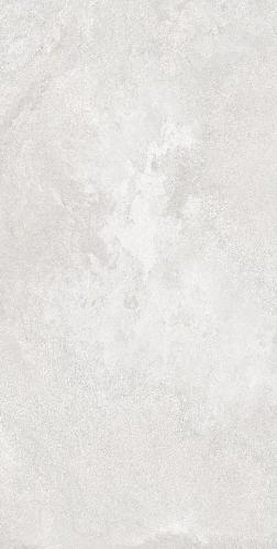 F62SG241-2