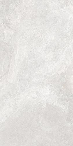 F62SG241-3