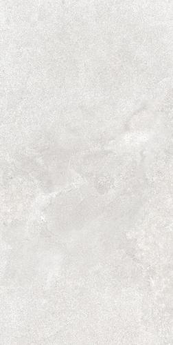 F62SG241-4