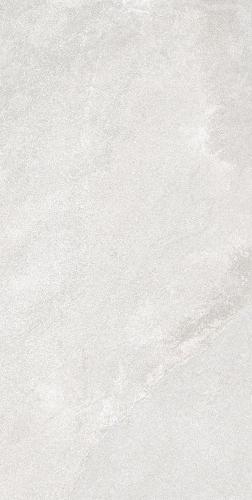 F62SG241-5