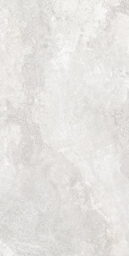 F62SG241-6