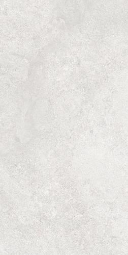 F62SG241-8