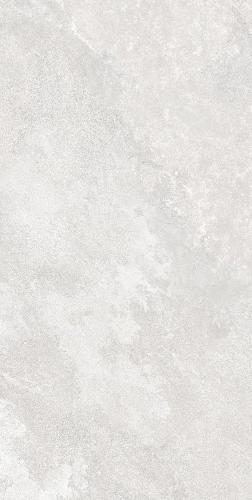 F62SG241-9