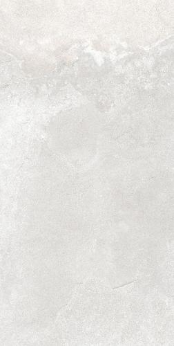 F62SG241-11