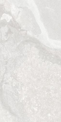 F62SG241-12