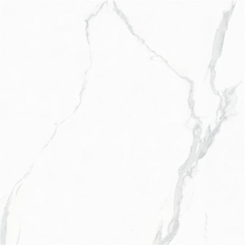 FTP8007F卡拉卡塔白