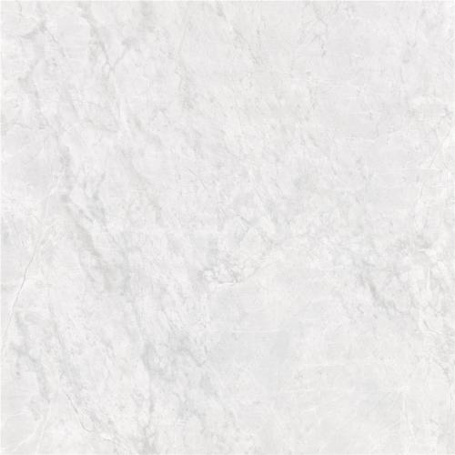 FTP80TC61F欧米茄白