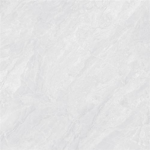 FQP80TC11-3-白玫瑰