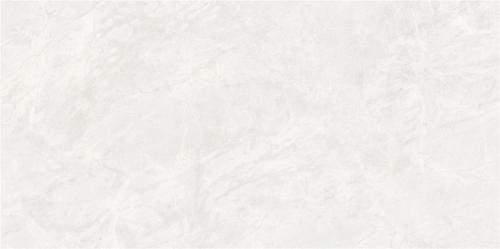 FP4801-2-欧米茄白