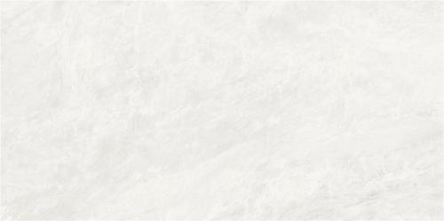 FP4801-4-欧米茄白