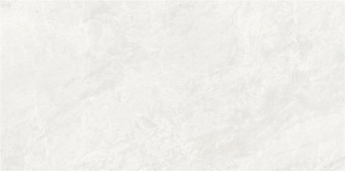 FP4801-5欧米茄白