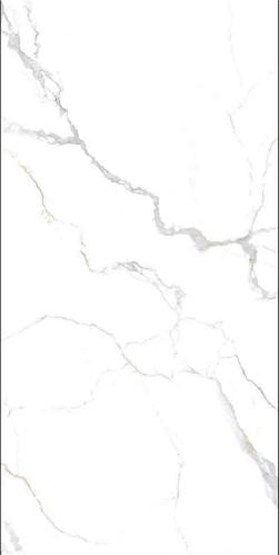 OQH24111伊丽莎白_02