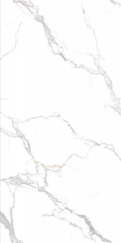 OQH24111伊丽莎白_03