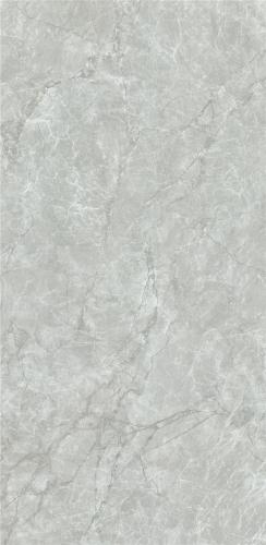 FP126TC40F特斯拉灰