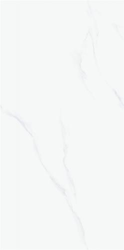 FP126TC59 阿尔贝雪白