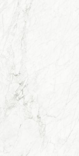 FP15721 意大利细花白