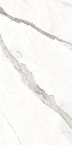 微信图片_20211126144631