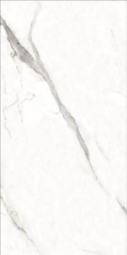 微信图片_20211126144634