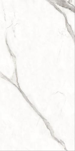 微信图片_20211126144637