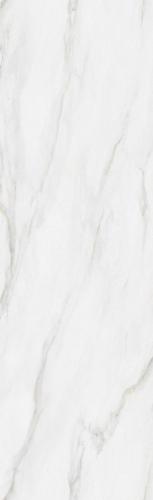 F82601TP1-云白金-2