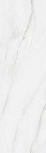 F82601TP1-云白金-4