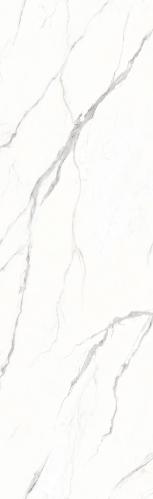 F82609TP1 阿扎比白