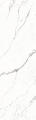 F82609TP1-阿扎比白-2