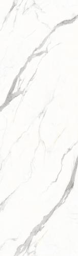 F82609TP1-阿扎比白-3