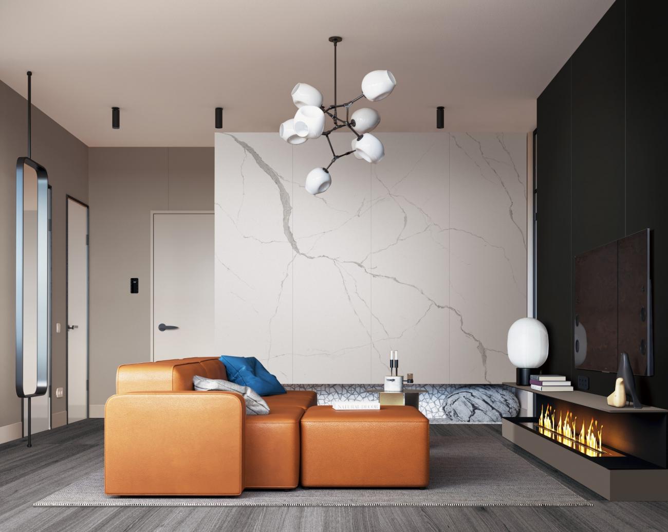 F826231T  德米特白