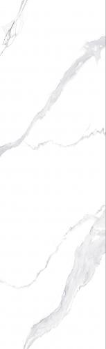 F826221T  布莱斯白