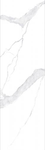 F826221T-2-白-布莱斯