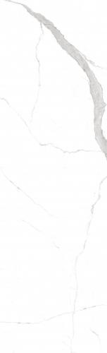 F826231T  德米特白