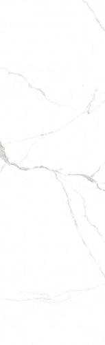 F826231T-2-白-德米特