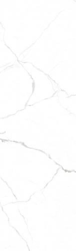 F826231T-3-白-德米特