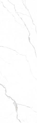 F826231T-4-白-德米特