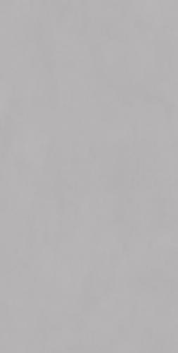 F98SL806 莫奈—银灰色