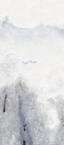 F2781210TP1  白雾晨曦 