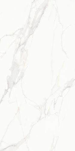 FB98R01 卡拉拉白