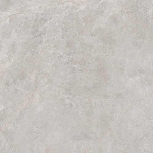 FTP8053 德里亚斯