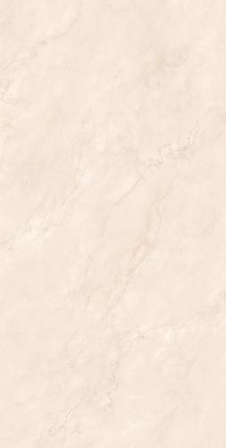 F75CK586 圣地卡罗·黄龙