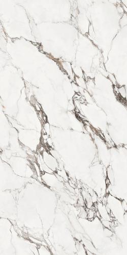 F75DK567 宝格丽白·天山