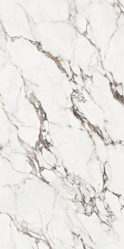 F62DK567  宝格丽白·天山