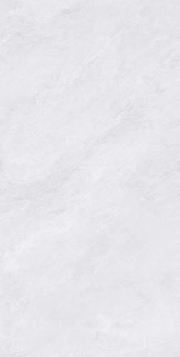 FP126TB61   美尼灰