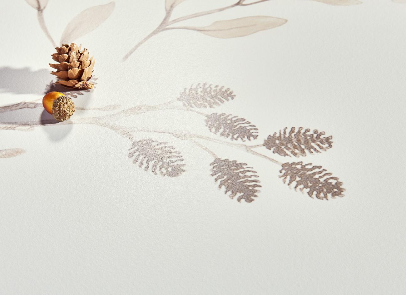 FY62HO1 花间白翎