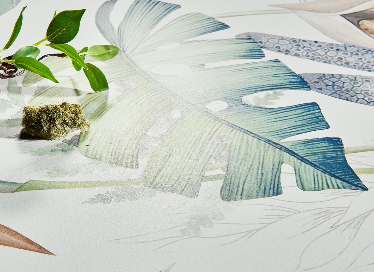 FY62H02 绿野仙踪