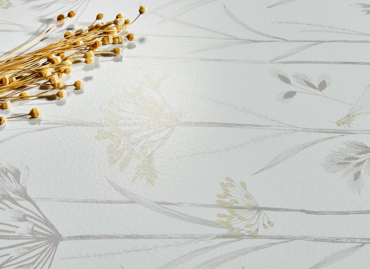 FY62H03 春田花语