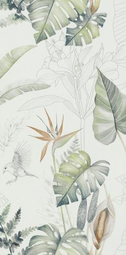 FY62H02 绿野仙踪