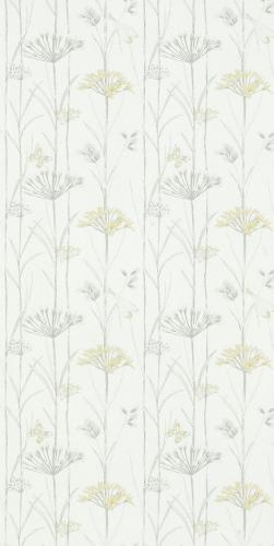 FY62H03 春田花语