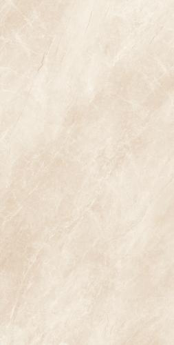 FP126066 安德鲁斯