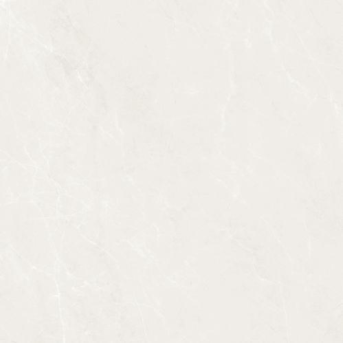 FY40DL042 皓月银白